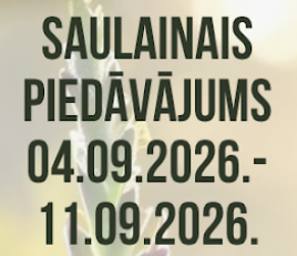 Saulainais